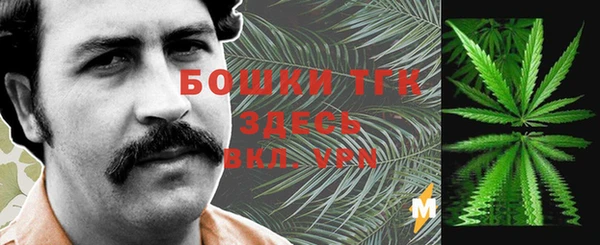 эйфоретик Арсеньев