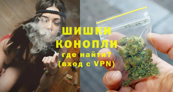 эйфоретик Арсеньев