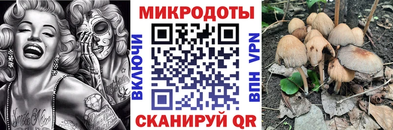 блэк спрут онион  Мценск  Псилоцибиновые грибы Psilocybine cubensis  купить наркотик 